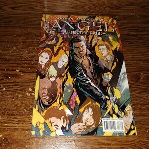Angel: After the Fall #16 (IDW Comics, 2009)  Cover Variant B